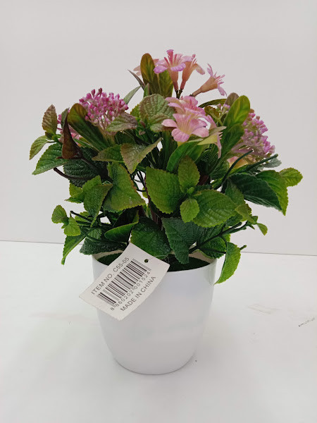 C55-05 TREE PLANT