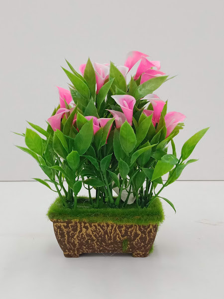 HW-06 TREE PLANT