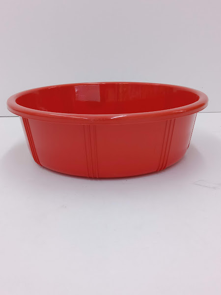 BASIN 2010