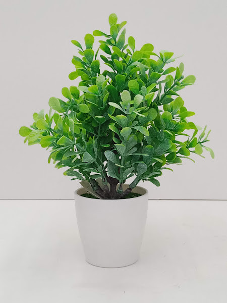 C25-011 TREE PLANT