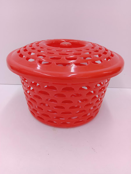 KIWI BASKET 222