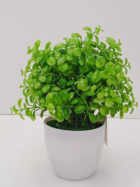D22-14 TREE PLANT