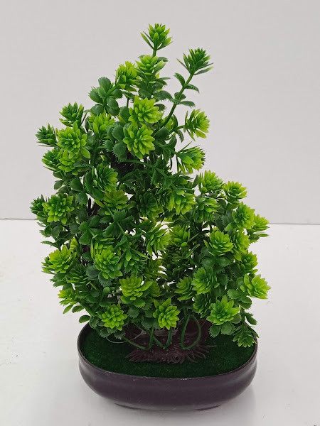 C37-014 TREE  PLANT
