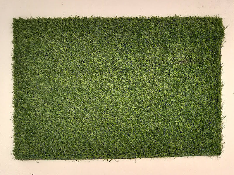 4000-104-01 GRASS