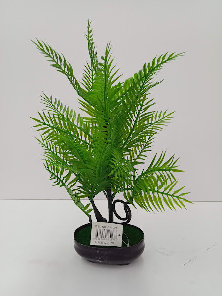 C55-02 TREE PLANT