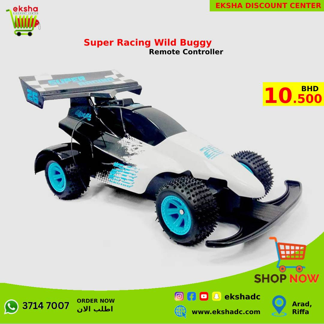 Super Racing RC Wild Buggy Four Way Car