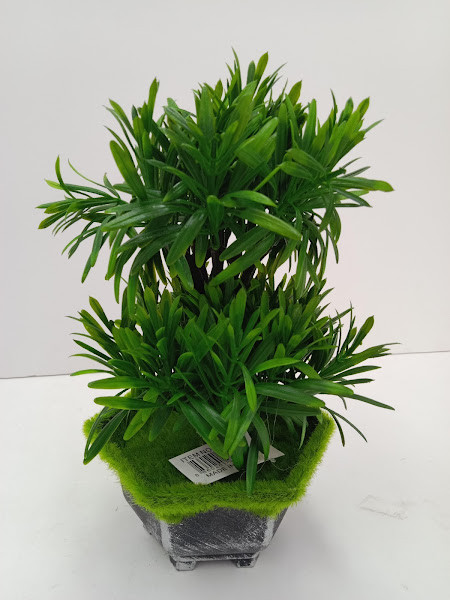 D22-11 TREE PLANT